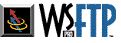wsftplogo.GIF (2906 bytes)